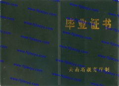 临沧市中专毕业证样本