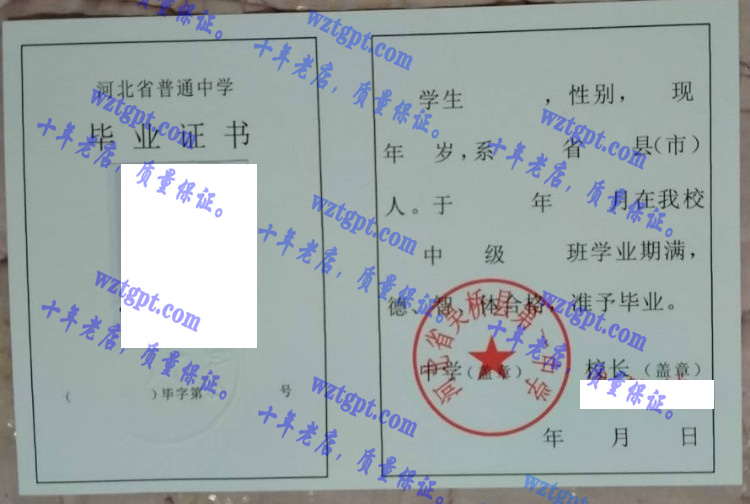 河北省吴桥县第一中学毕业证样本