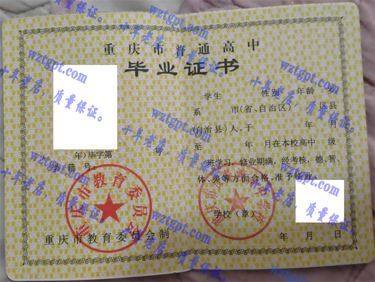 重庆市长寿渡舟中学校<a href='http://wztgpt.com/' target='_blank'><u>毕业证样本</u></a>